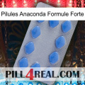 Anaconda Strong Formula Pills 21